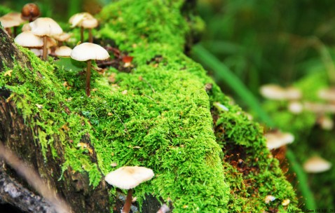 成都top6供卵助孕生殖中心名单分享，试管包成功的真的吗！